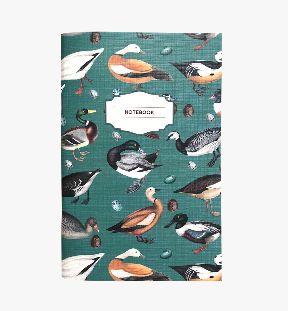 Vintage water bird & duck notebooks (2-pack)
