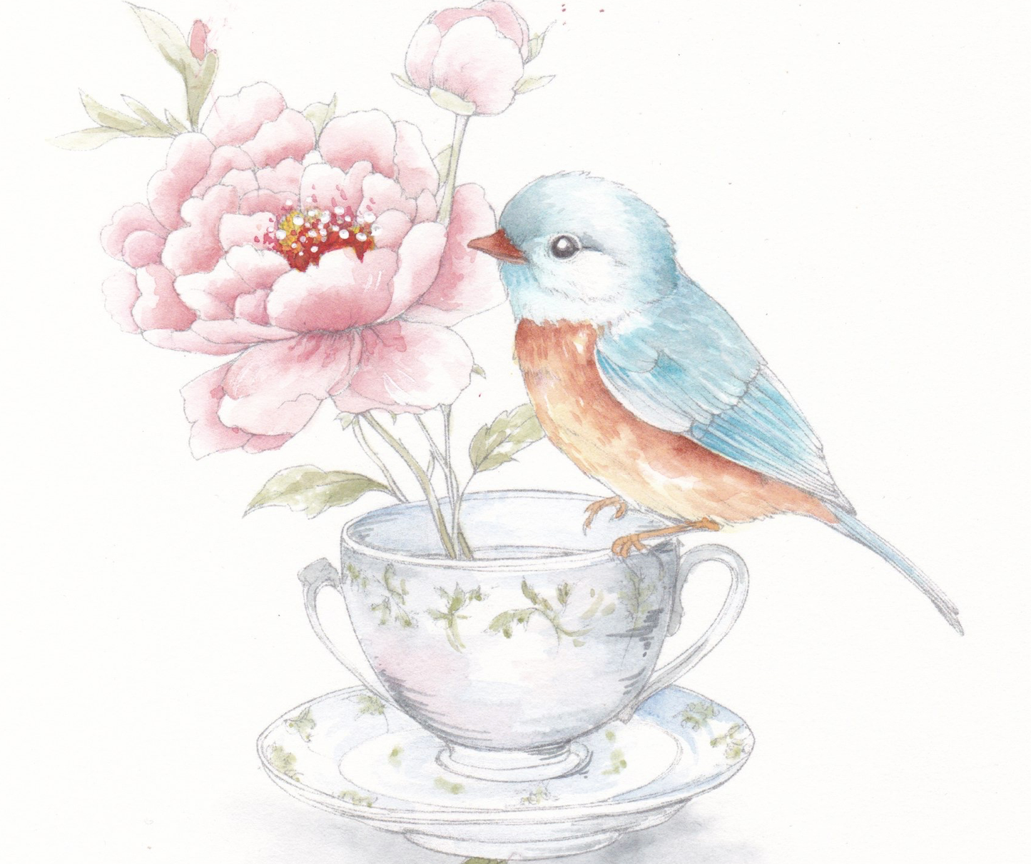 Feathers & finery watercolour workbook