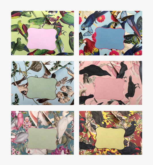 Birds of a feather origami snail mail set