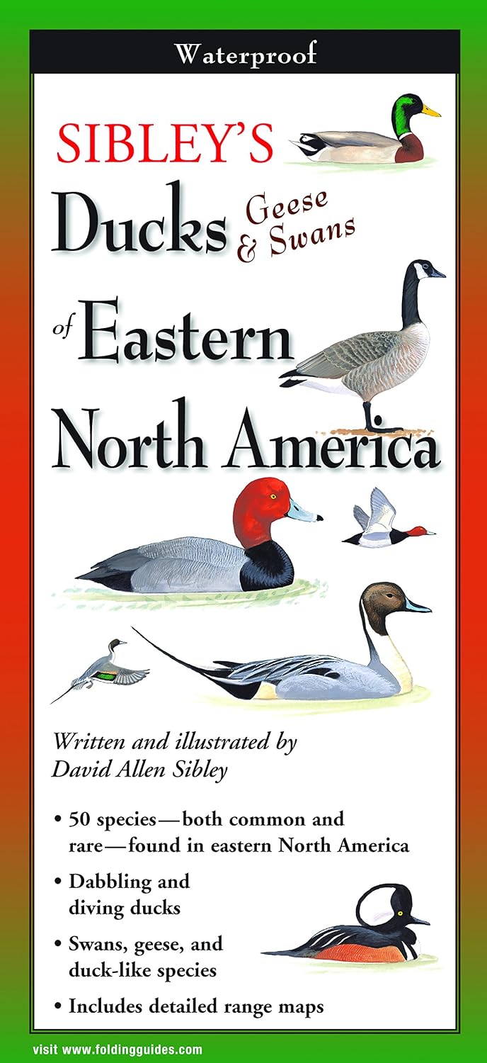 Sibley's Ducks, Geese & Swans of Eastern North America - Folding Guide by David Sibley