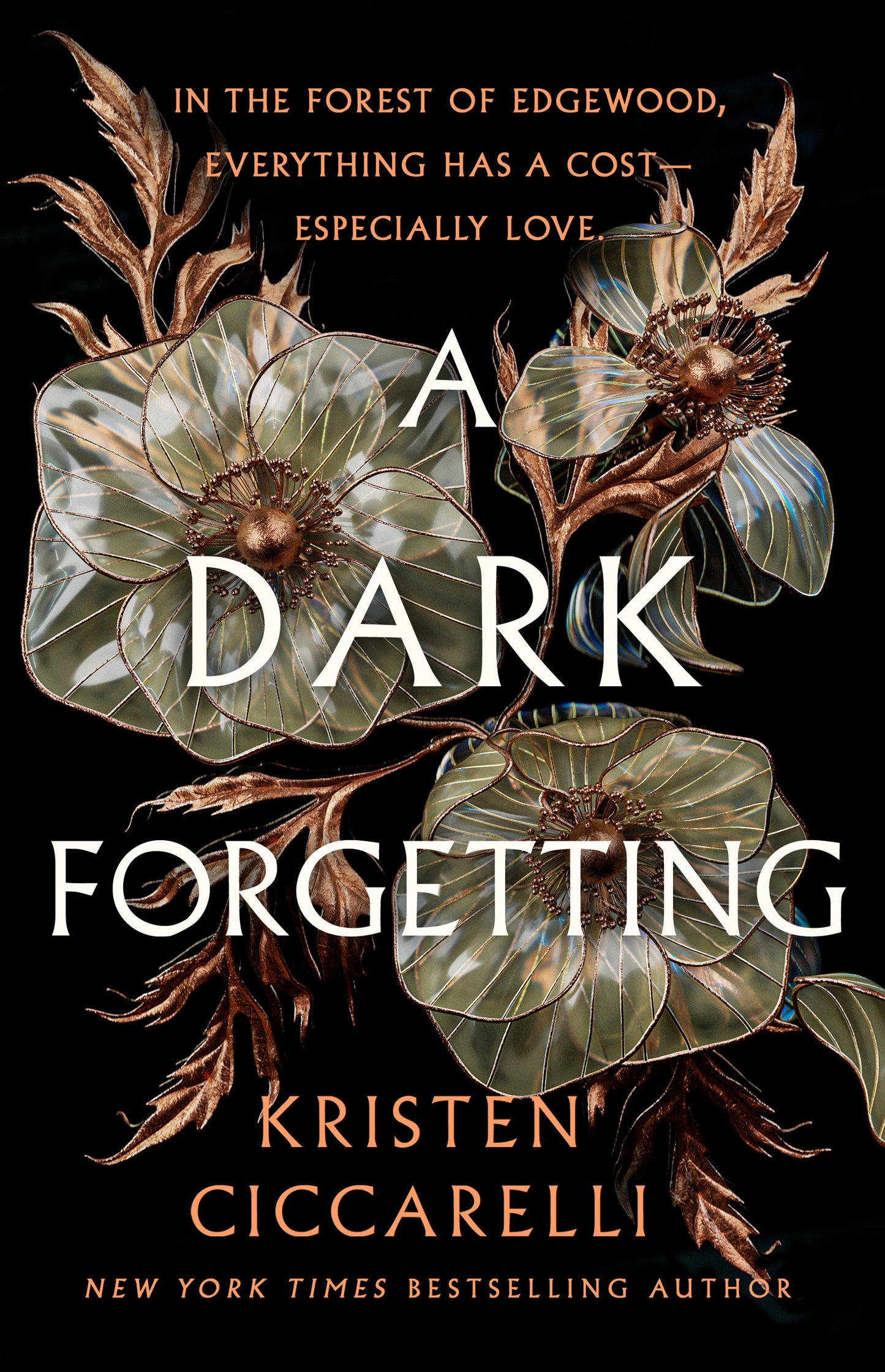 A Dark Forgetting by Kristen Ciccarelli (Preorder)