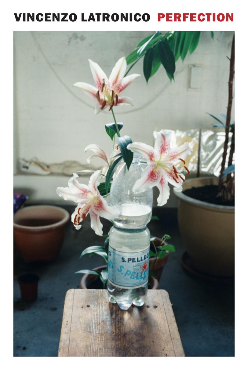 Perfection by Vincenzo Latronico translated by Sophie Hughes