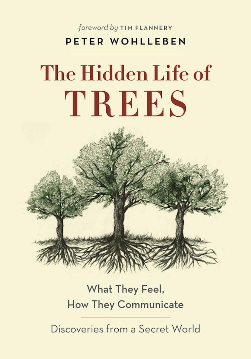 The Hidden Life of Trees: What They Feel, How They Communicate—Discoveries from A Secret World by Peter Wohlleben , Tim Flannery & Jane Billinghurst
