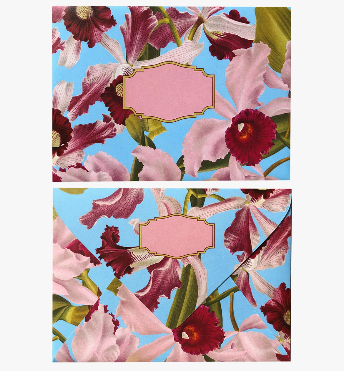 Colourful assorted patterned envelopes - orchid theme pack