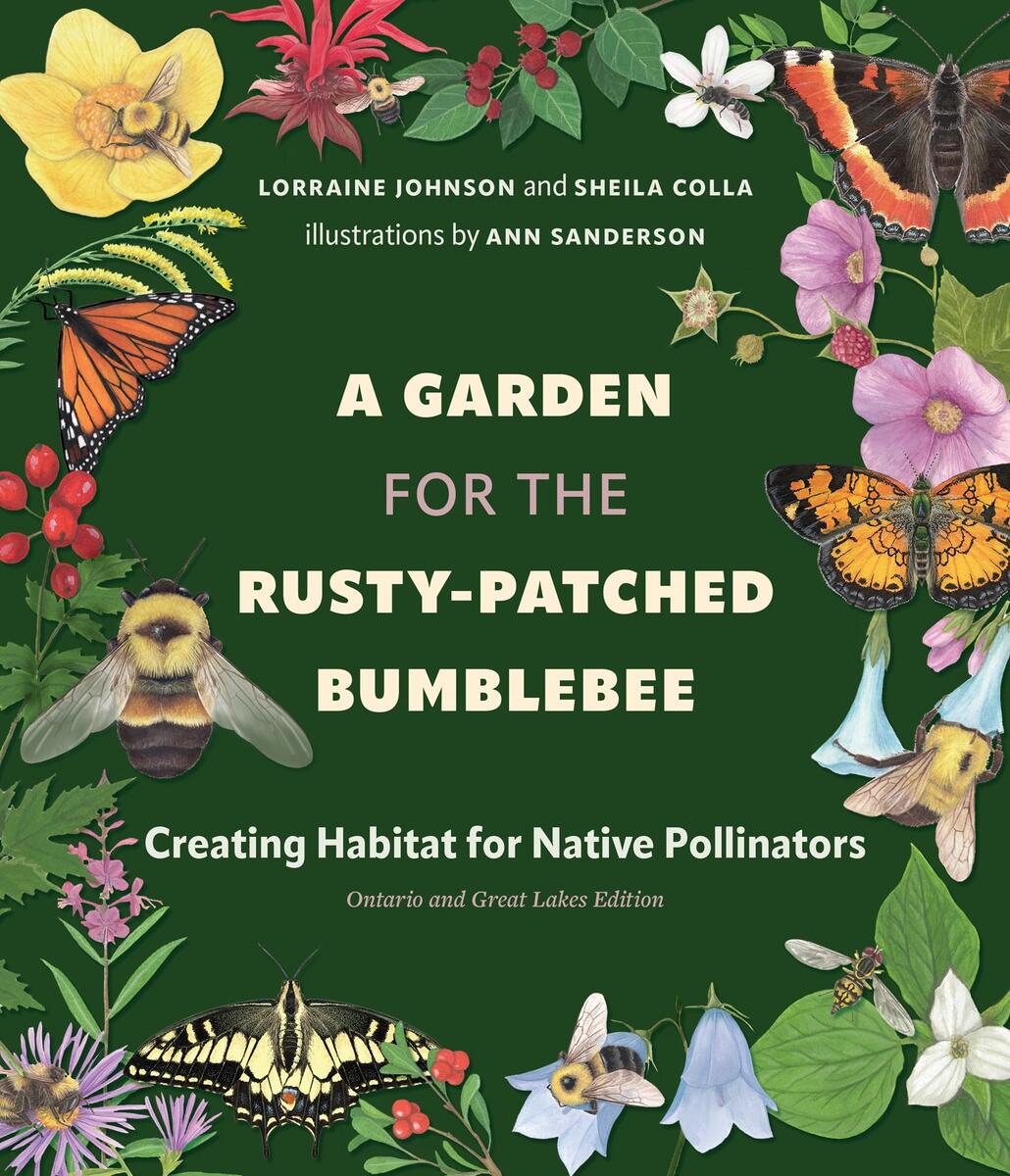 A Garden for the Rusty-Patched Bumblebee: Creating Habitat for Native Pollinators: Ontario and Great Lakes Edition by Lorraine Johnson, Sheila Colla & Ann Sanderson