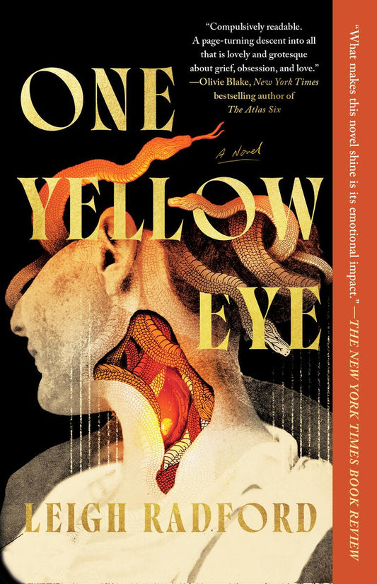 One Yellow Eye by Leigh Radford