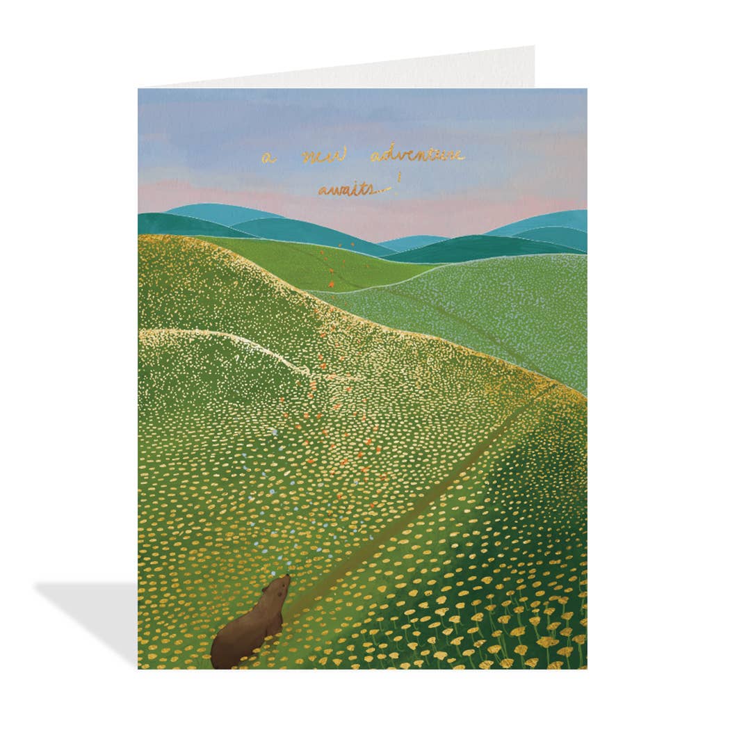 New adventure bear greeting card
