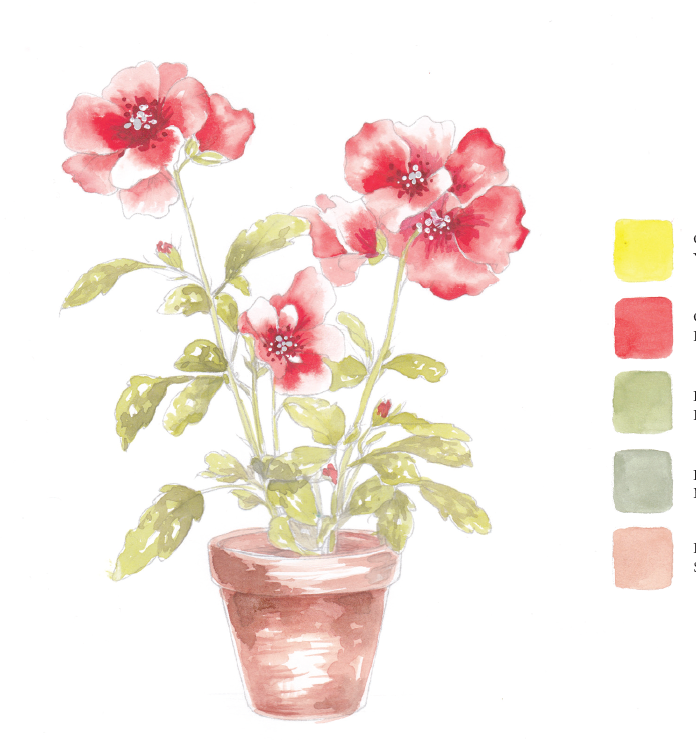 Blooms & bouquets watercolour workbook