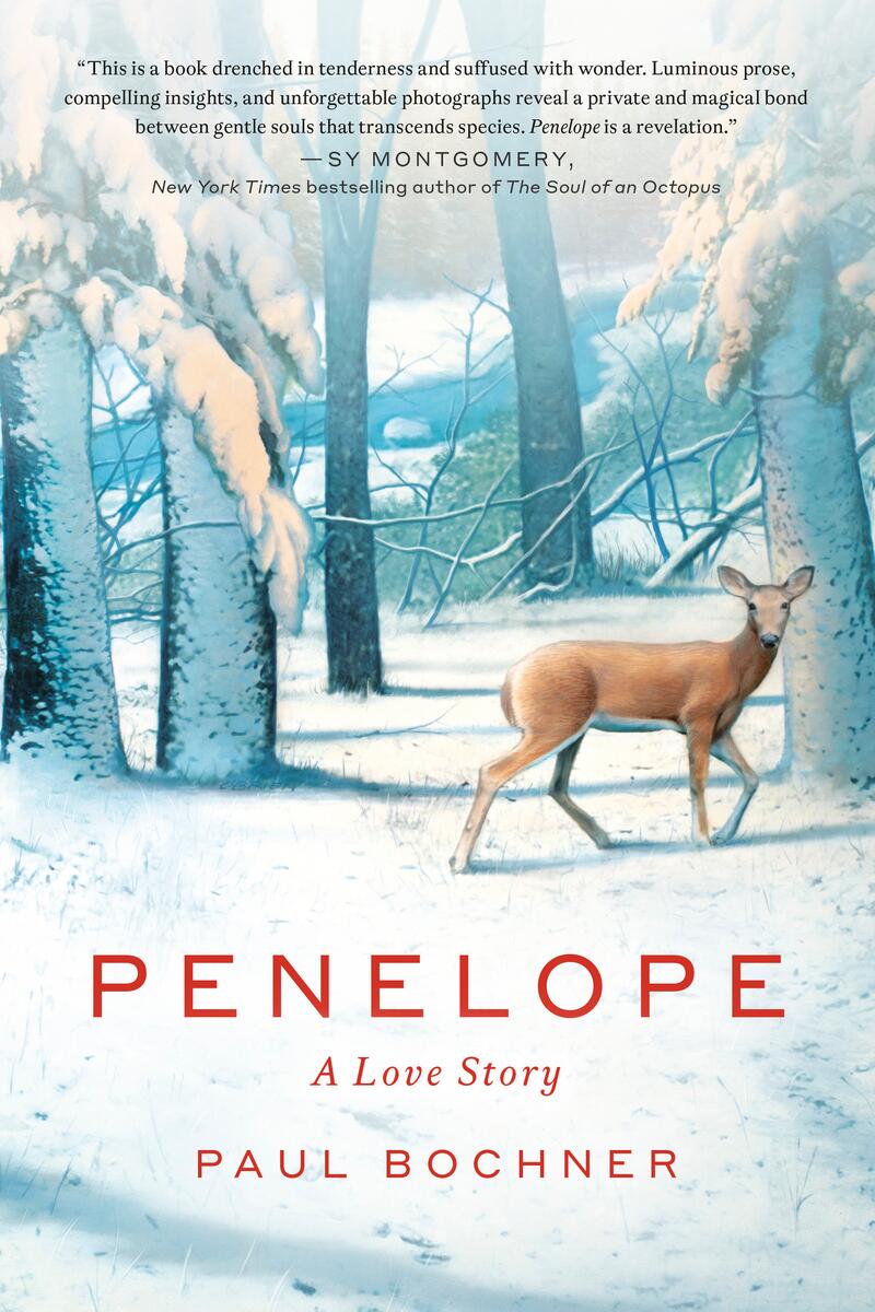 Penelope: A Love Story by Paul Bochner (Preorder)