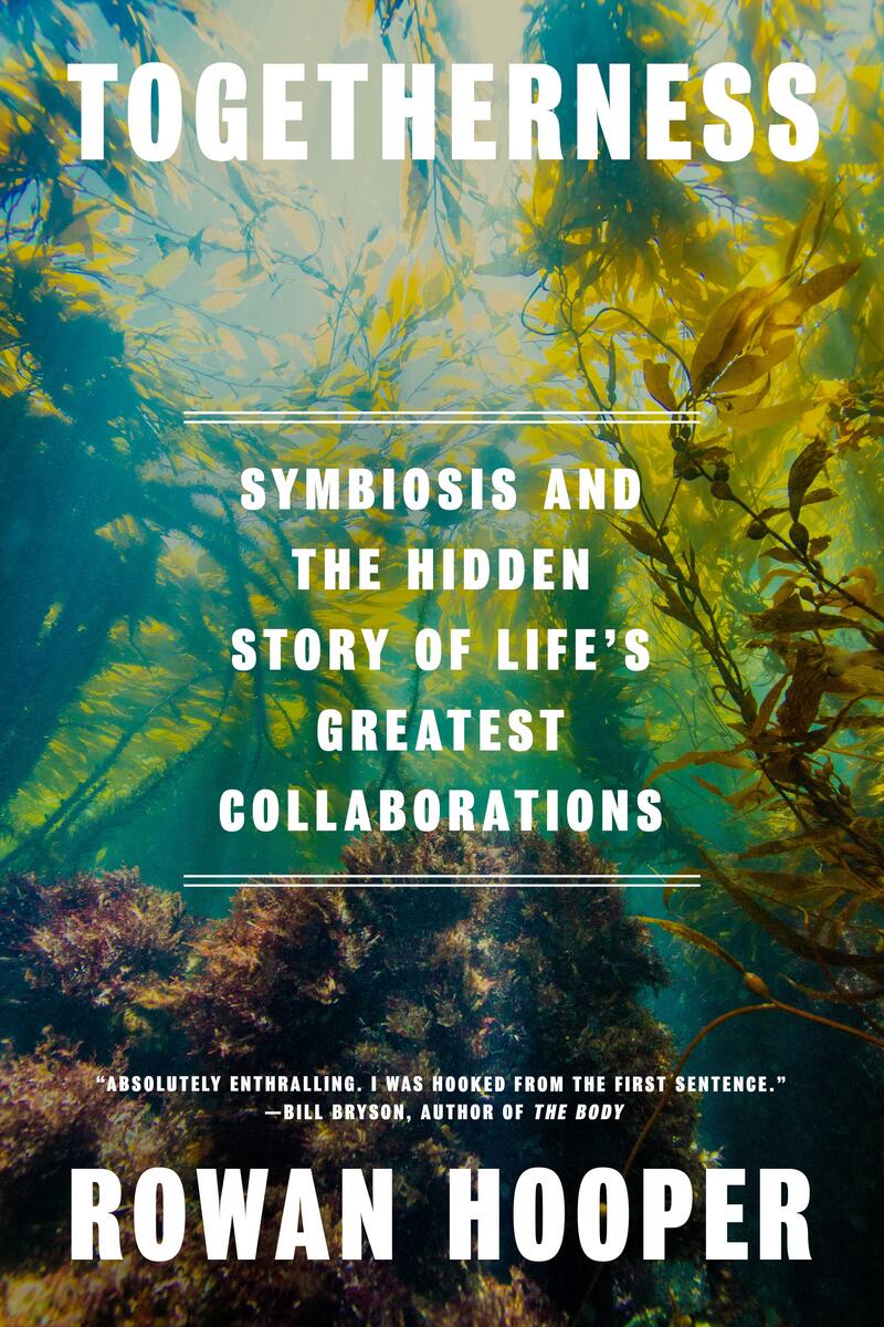 Togetherness: Symbiosis and the Hidden Story of Life's Greatest Collaborations by Rowan Hooper (Preorder)