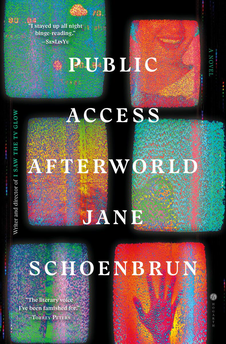 Public Access Afterworld: A Novel by Jane Schoenbrun (Preorder)