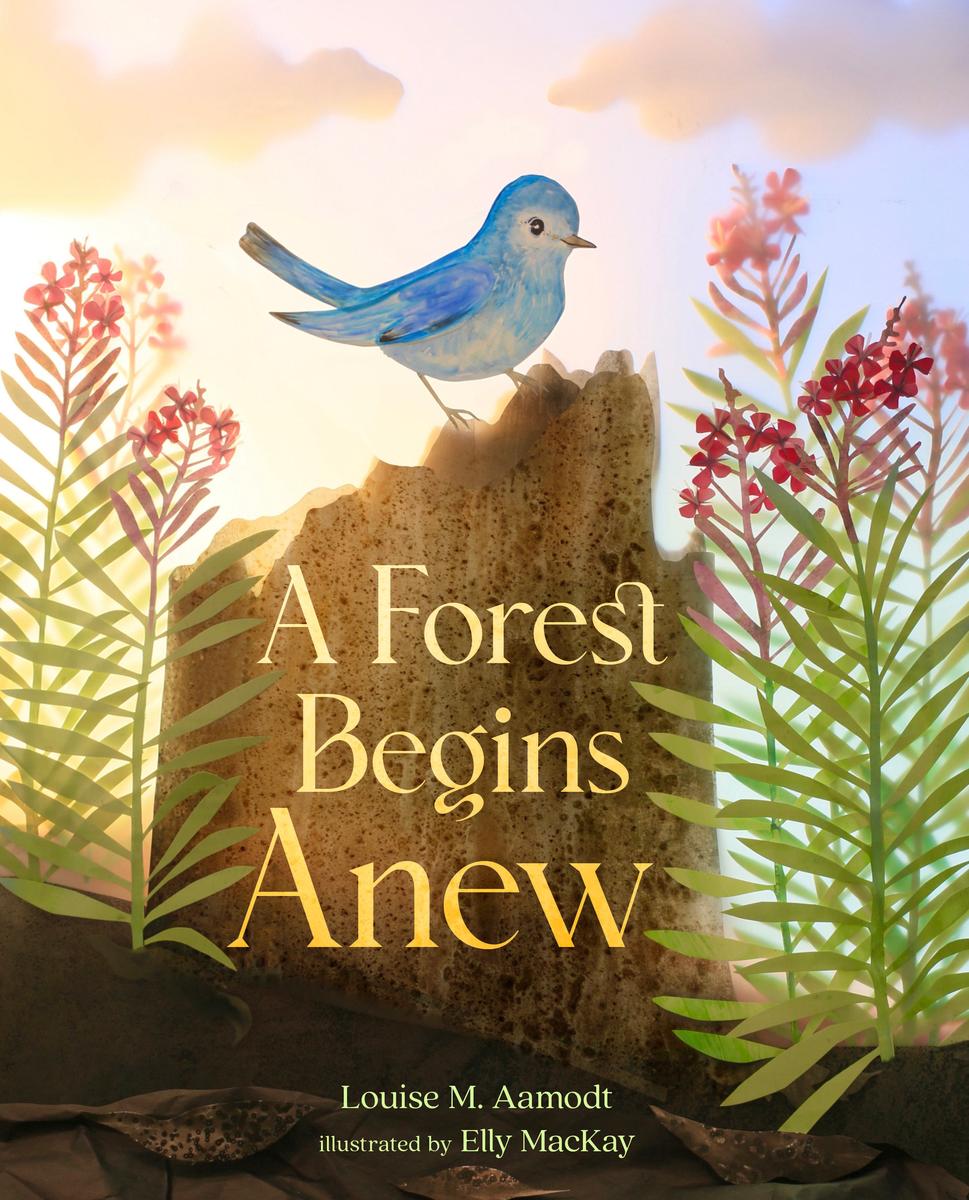 A Forest Begins Anew by Louise M. Aamodt & Elly MacKay