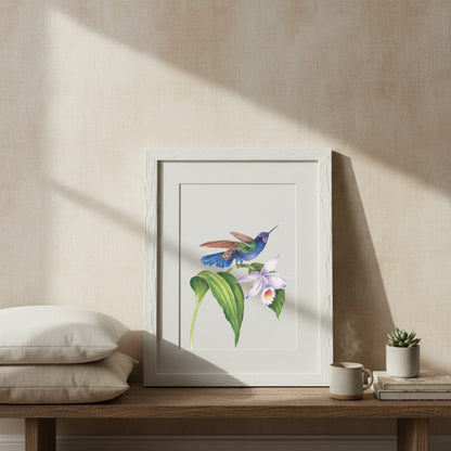 Vintage hummingbirds oil painting workbook (limited quantities)