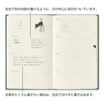 Book style diary B6 cat green 2027 (coming soon)