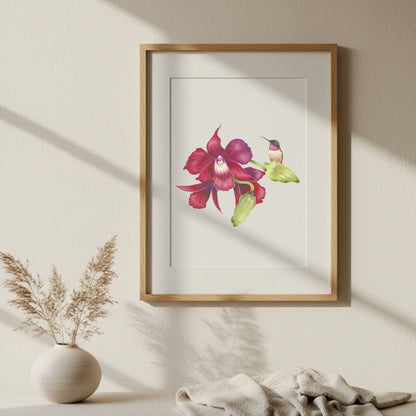 Vintage hummingbirds oil painting workbook (limited quantities)