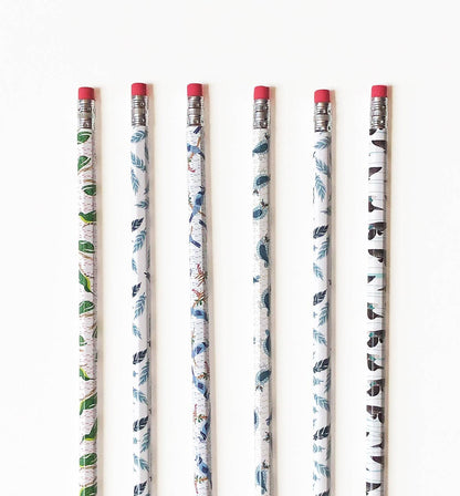 Set of 6 bird-themed pencils
