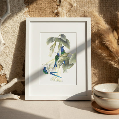 Vintage hummingbirds oil painting workbook (limited quantities)