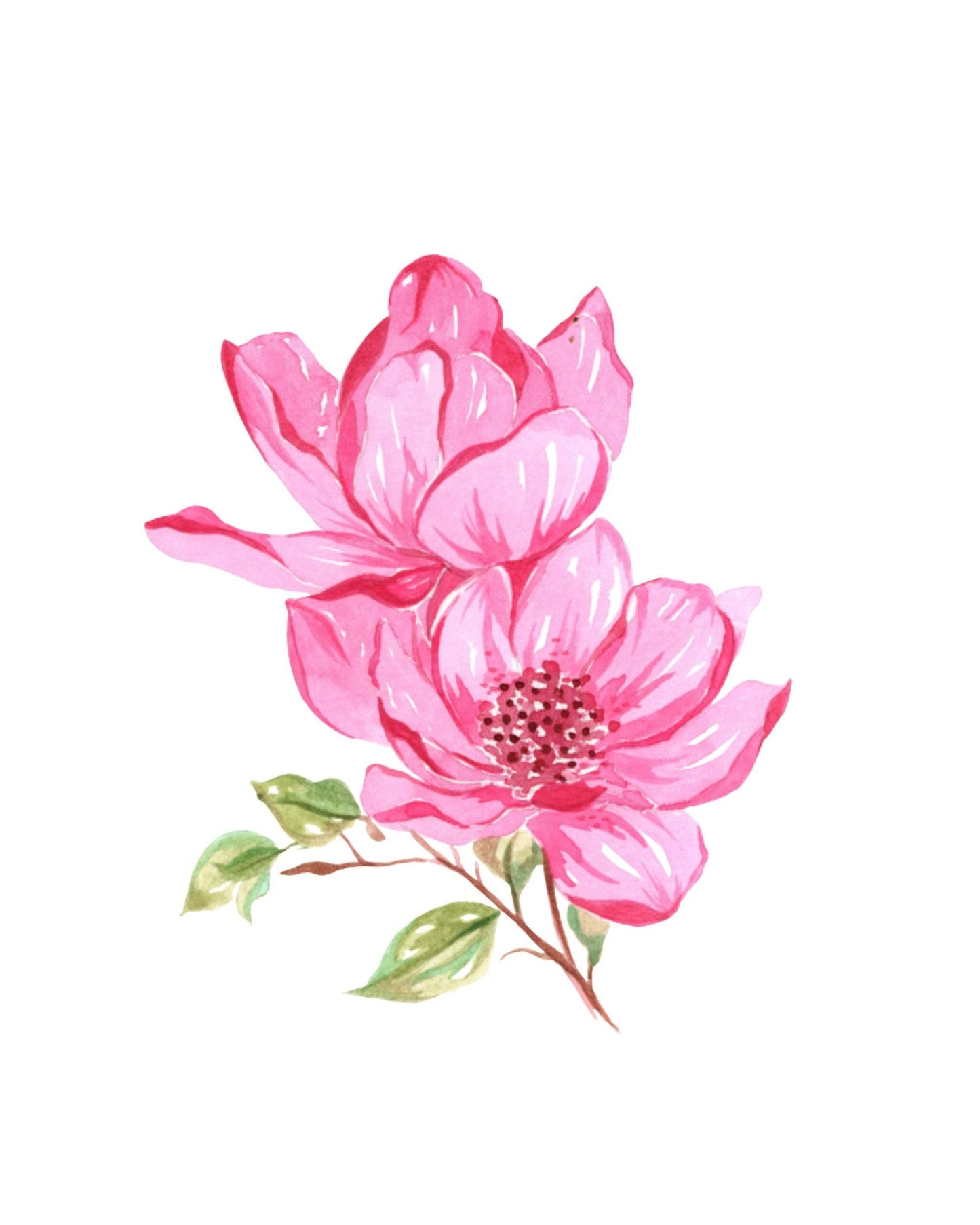 Bold flowers watercolour workbook