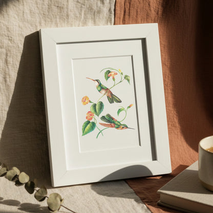 Vintage hummingbirds oil painting workbook (limited quantities)