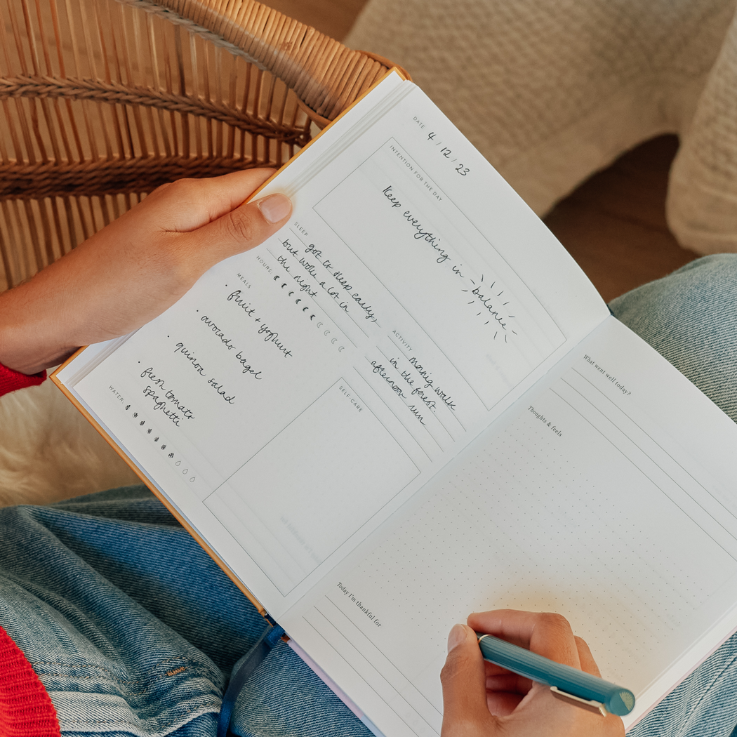 Fairy flies guided A5 wellness journal