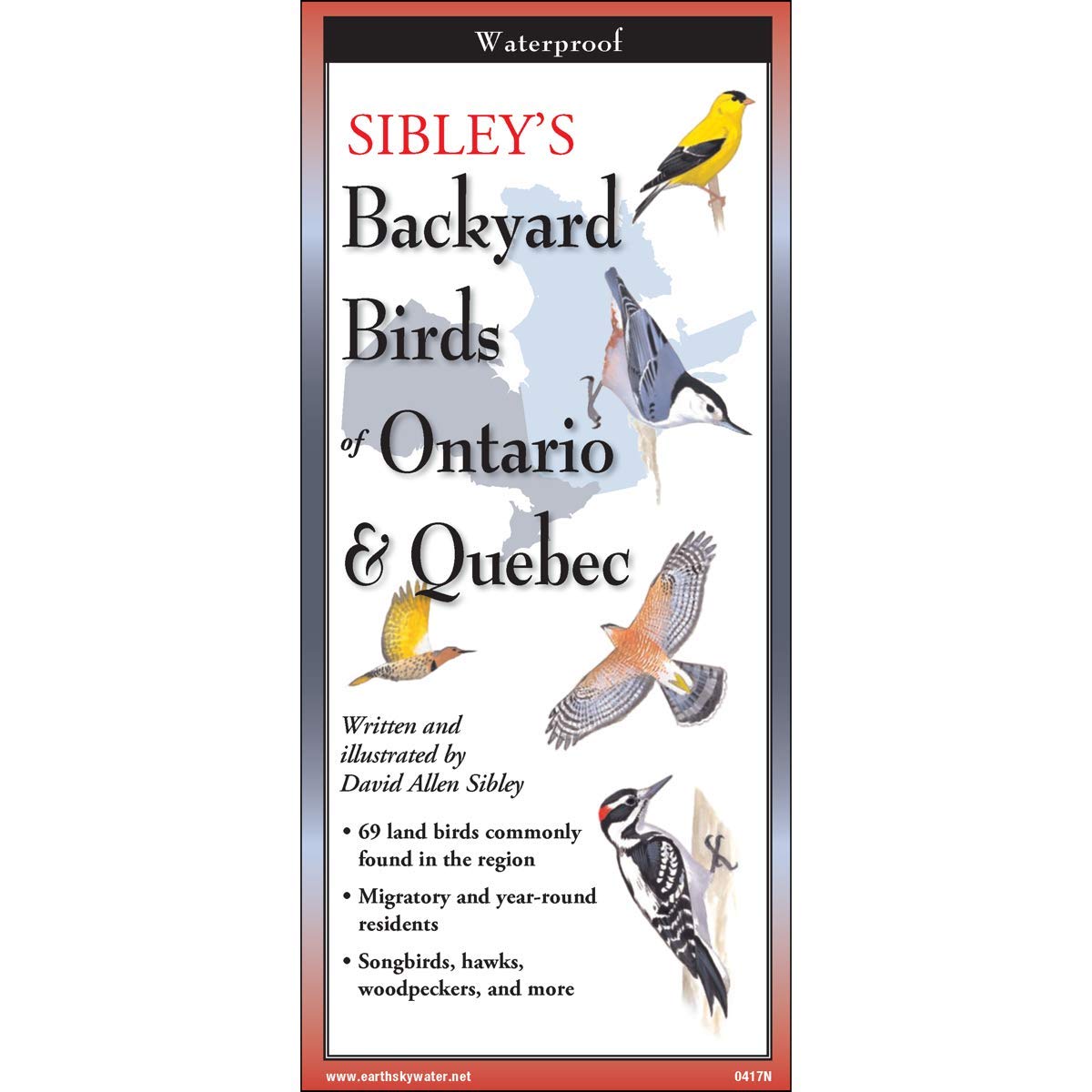 Sibley's Backyard Birds of Ontario & Quebec - Folding Guide by David Sibley