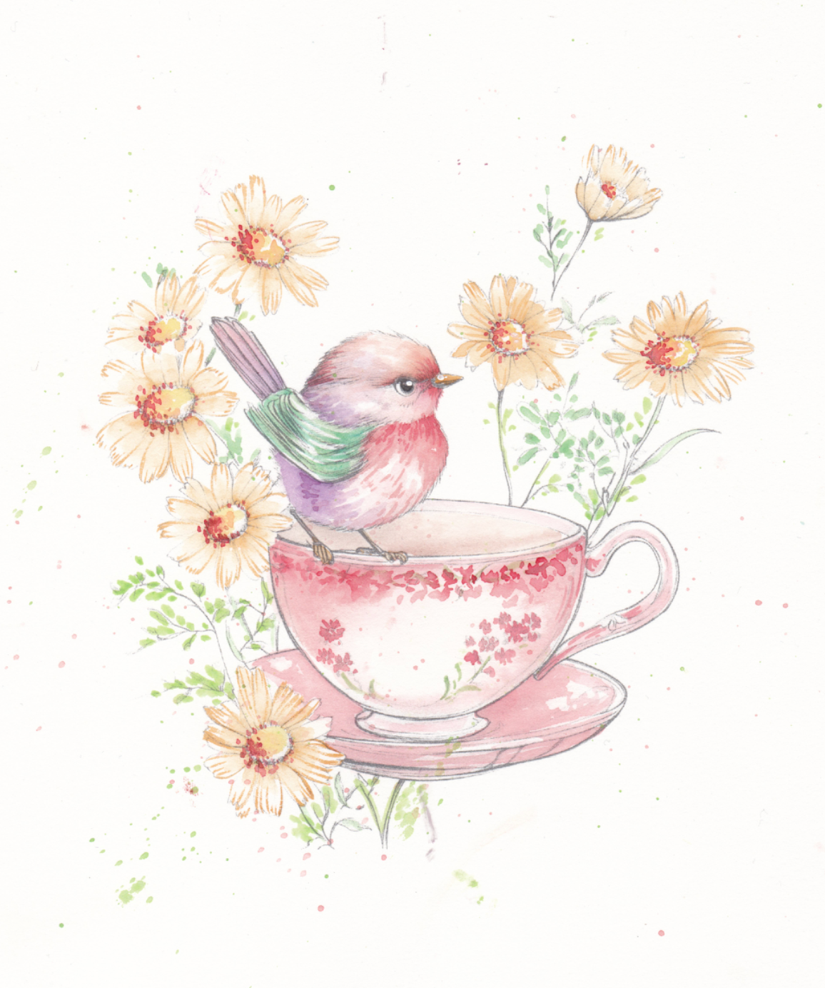 Feathers & finery watercolour workbook