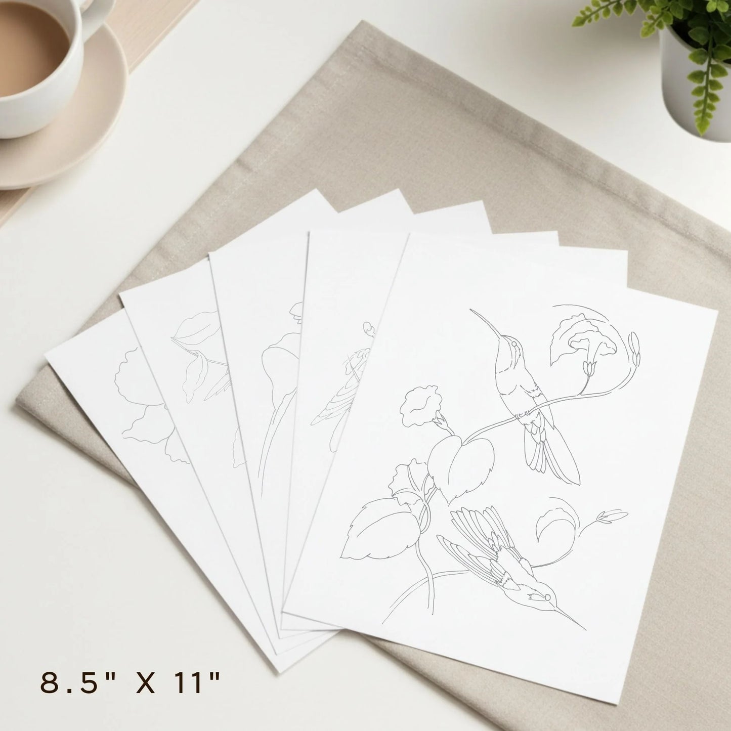 Vintage hummingbirds oil painting workbook (limited quantities)