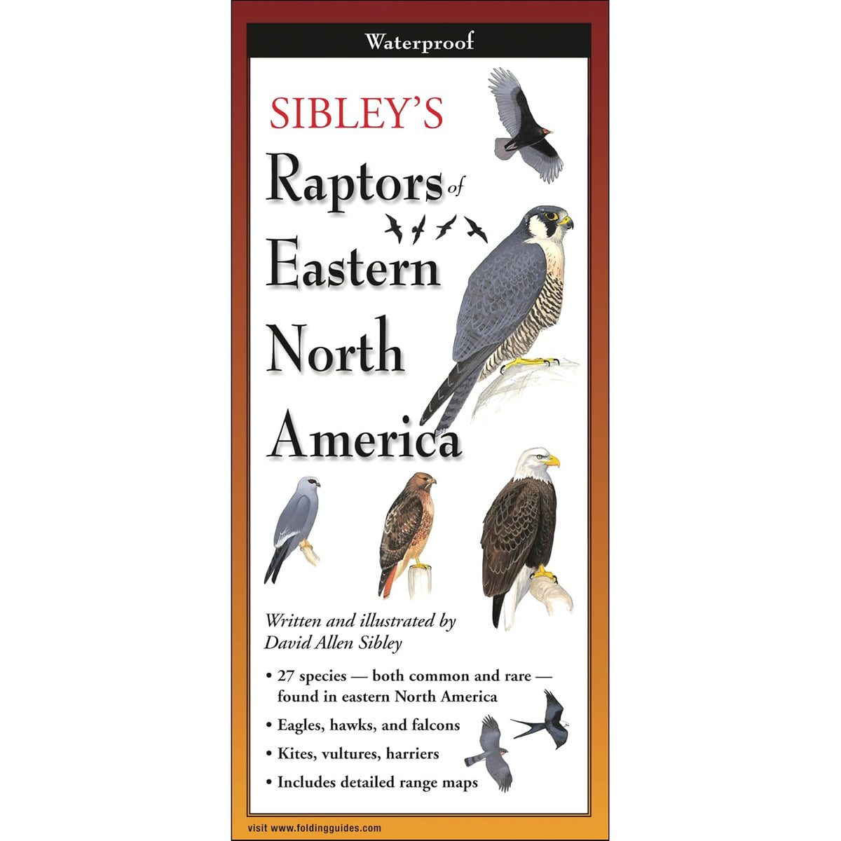 Sibley's Raptors of Eastern North America - Folding Guide by David Sibley