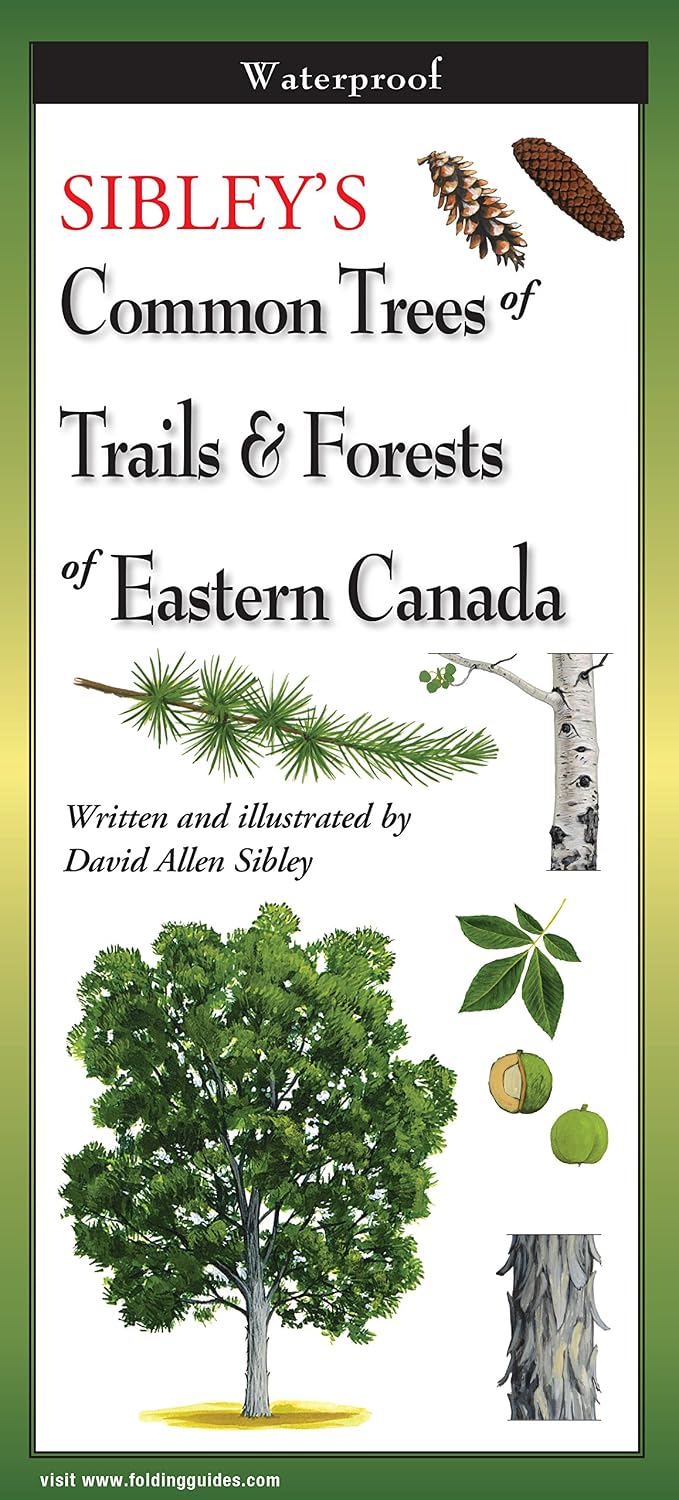 Sibley's Common Trees of Eastern Canada by David Sibley