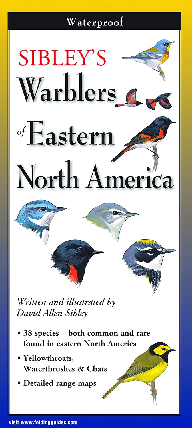 Sibley's Warblers of Eastern North America by David Sibley