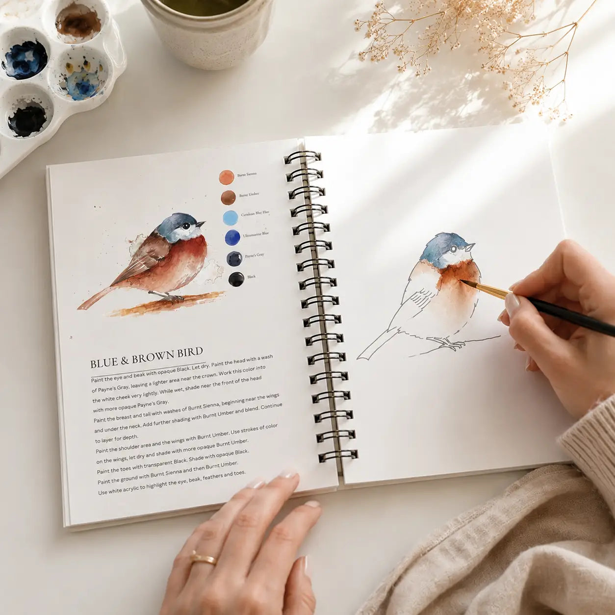Beautiful birds watercolor workbook