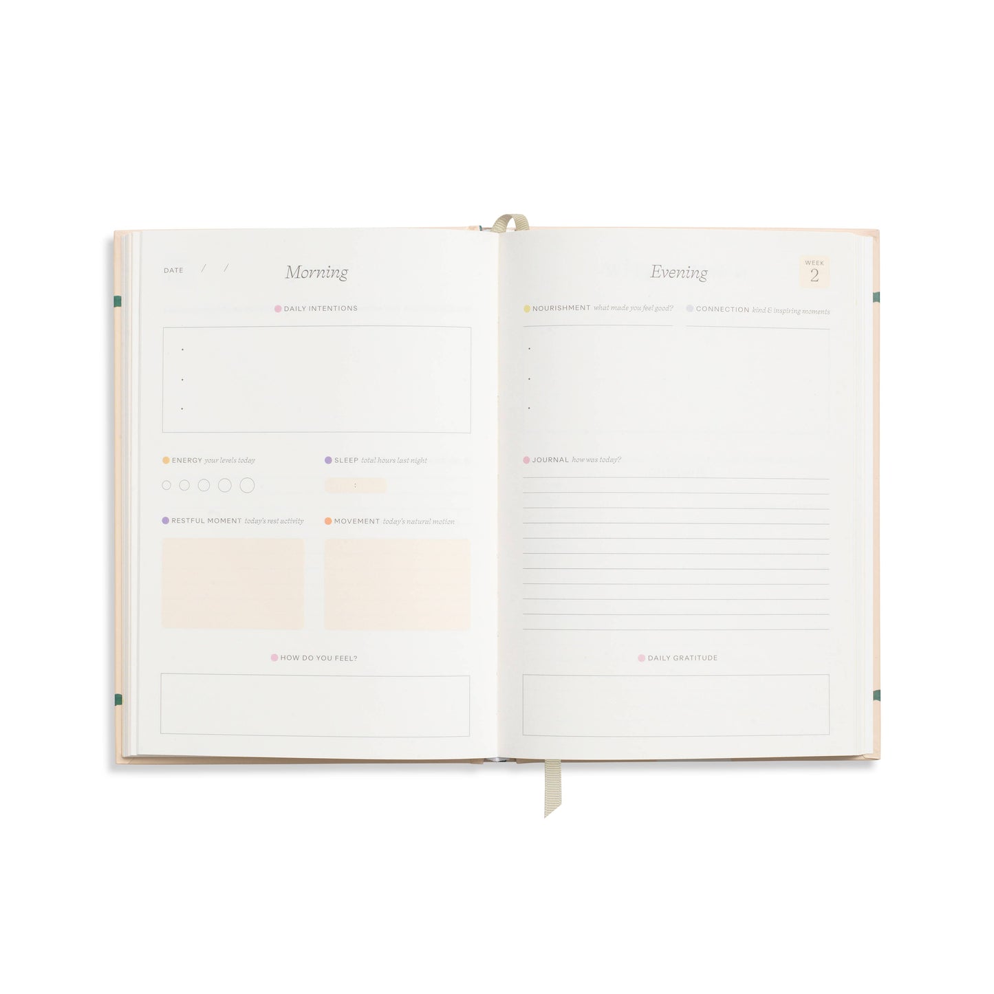 Fairy flies guided A5 wellness journal