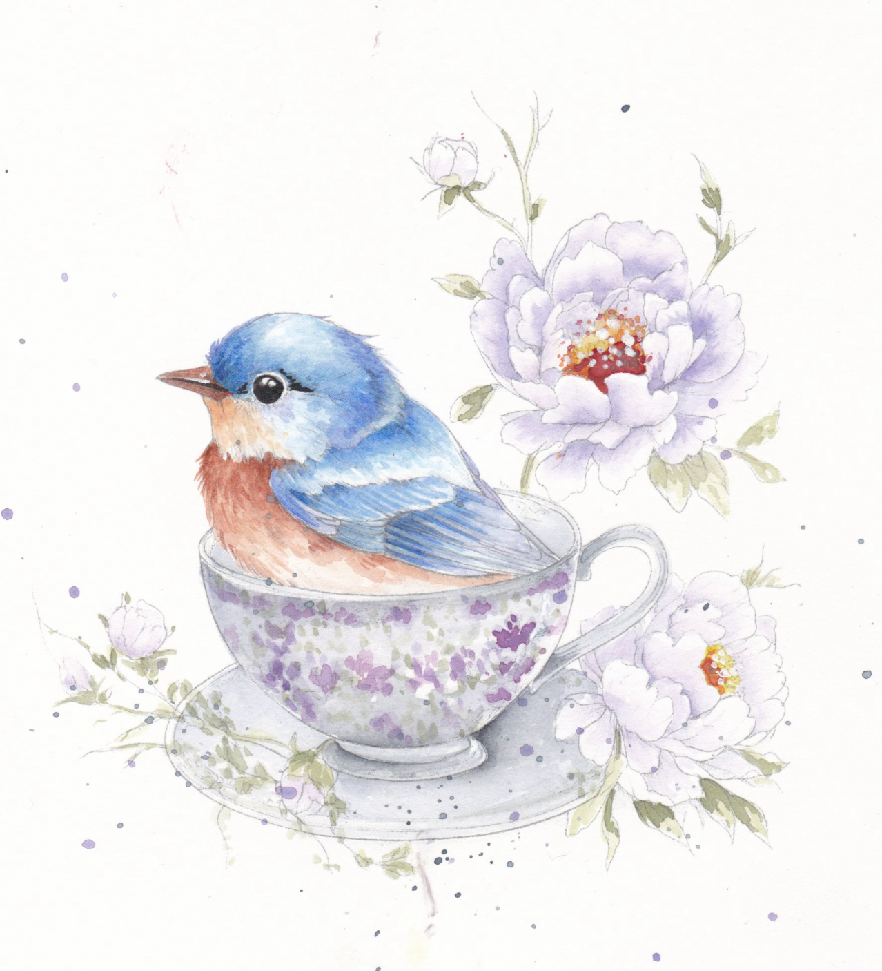 Feathers & finery watercolour workbook