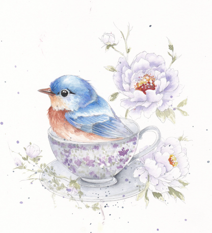 Feathers & finery watercolour workbook