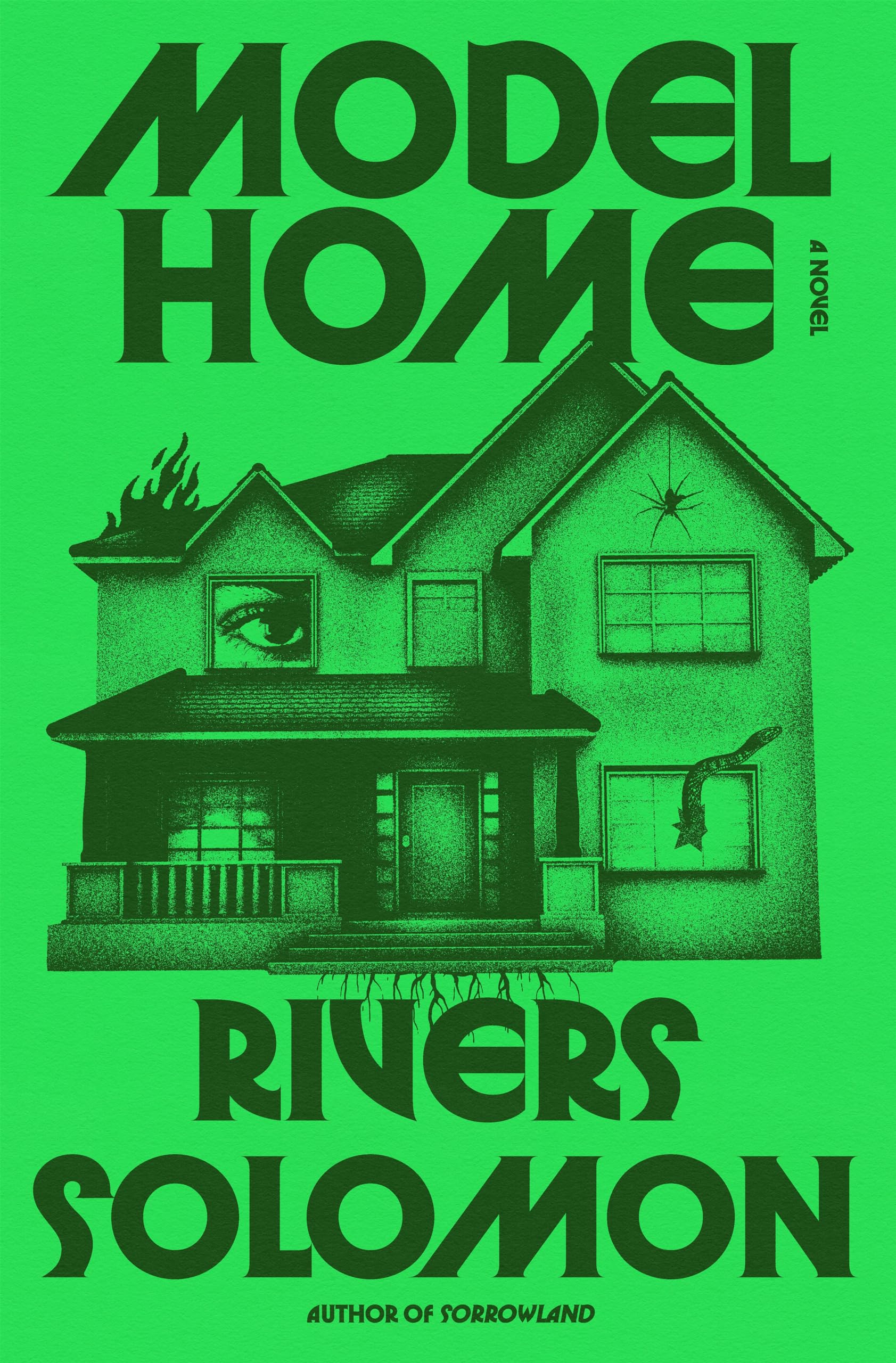 Cover of the book 'Model Home by River Soloman'.