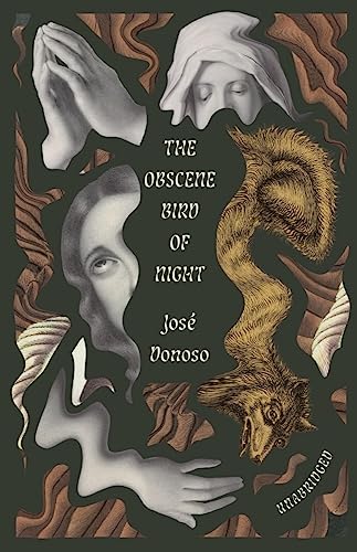 Cover of the book 'The Obscene Bird of Night by José Donoso'.