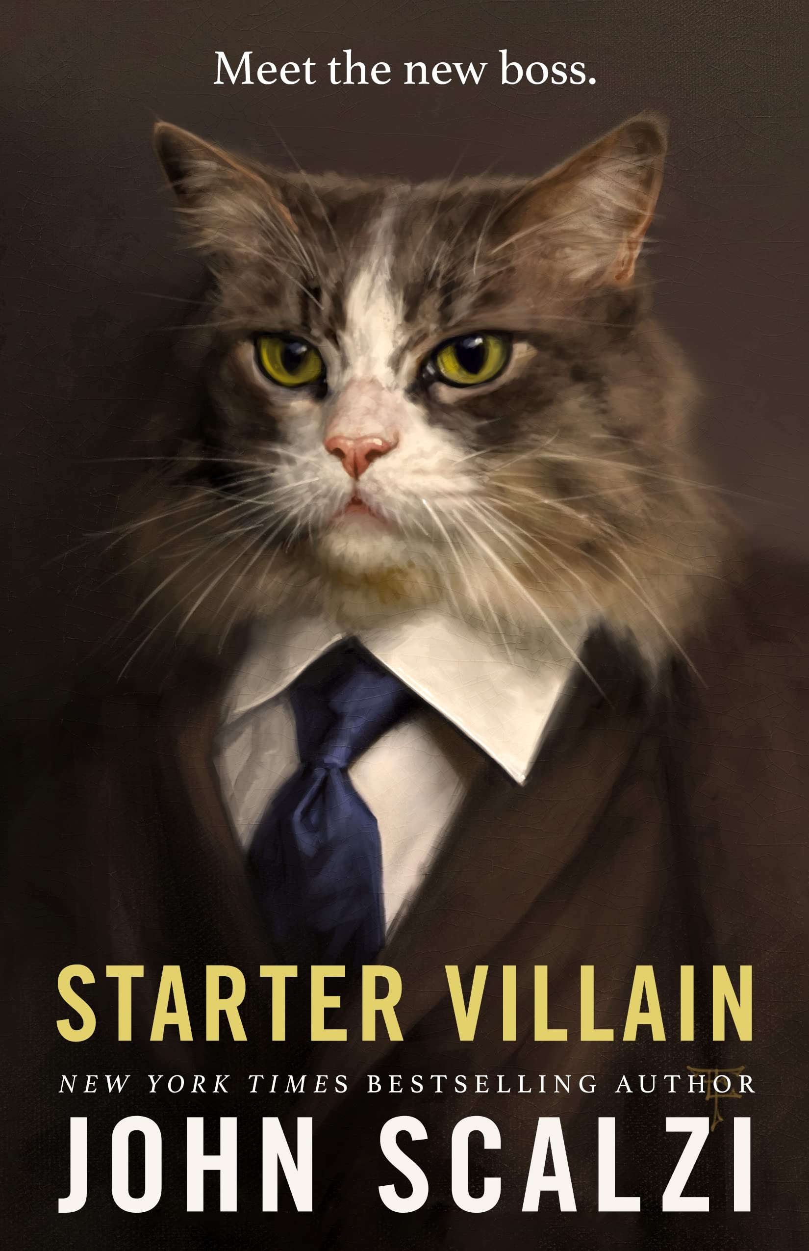 Cover of the book 'Starter Villain by John Scalzi'.