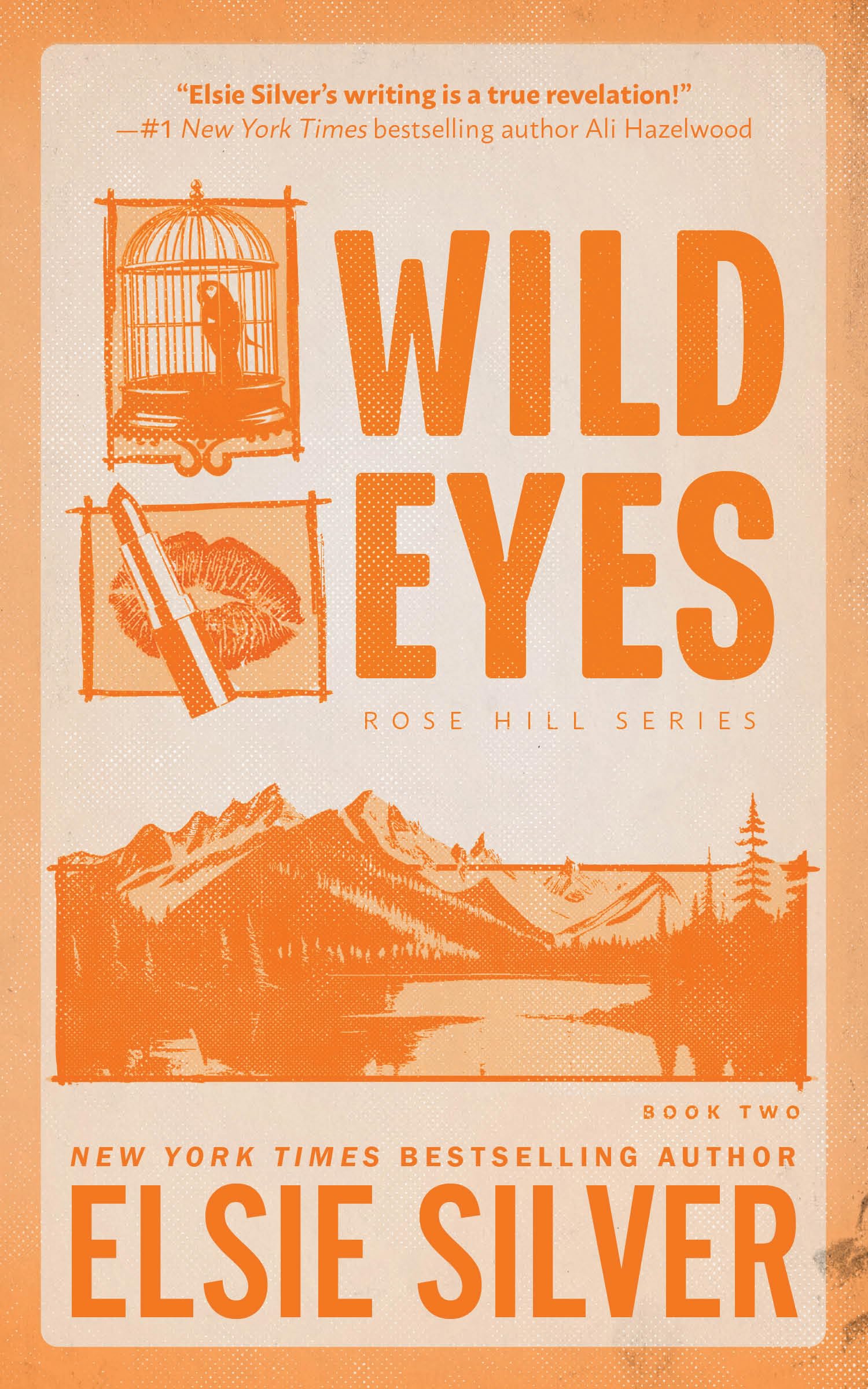 Cover of the book 'Wild Eyes by Elsie Silver'.