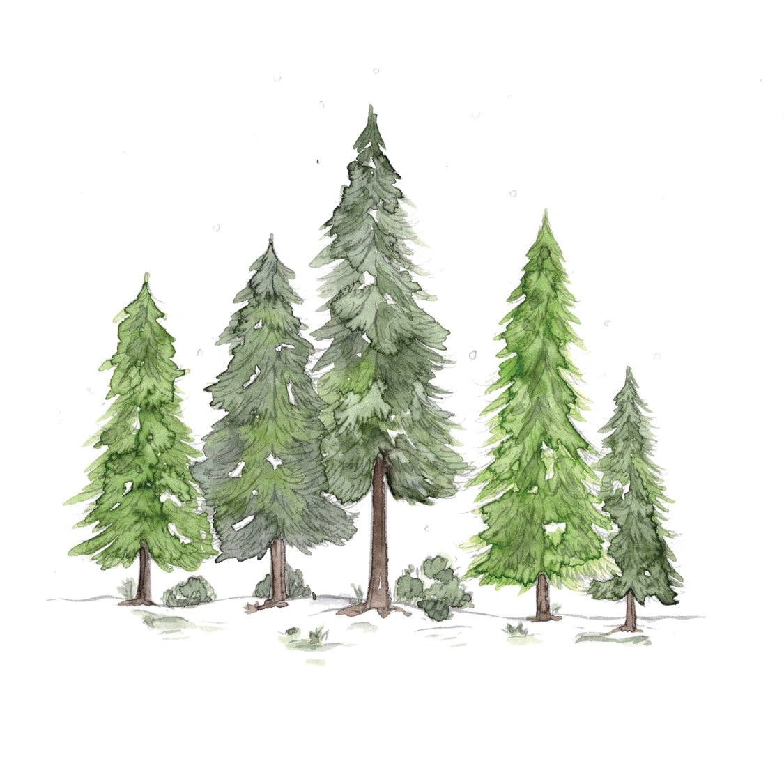 Winter glow watercolor workbook