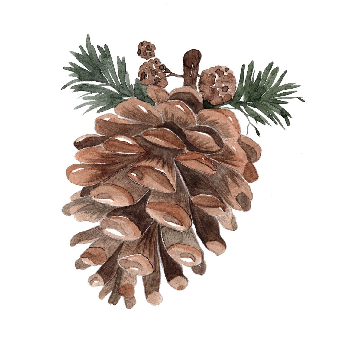 Winter glow watercolor workbook