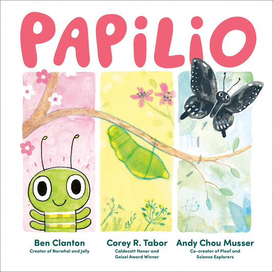 Papilio by Ben Clanton & Corey R Tabor & Andy Chou Musser