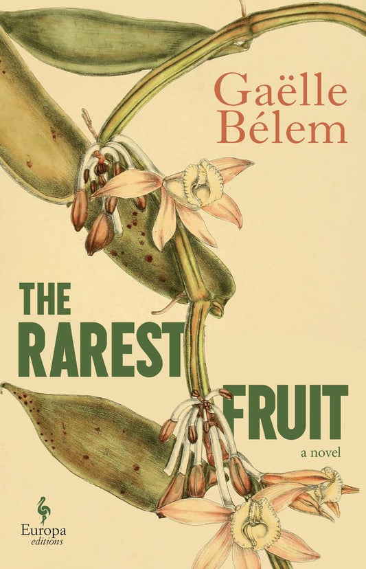 The Rarest Fruit by Gaëlle Bélem translated by Hildegarde Serle