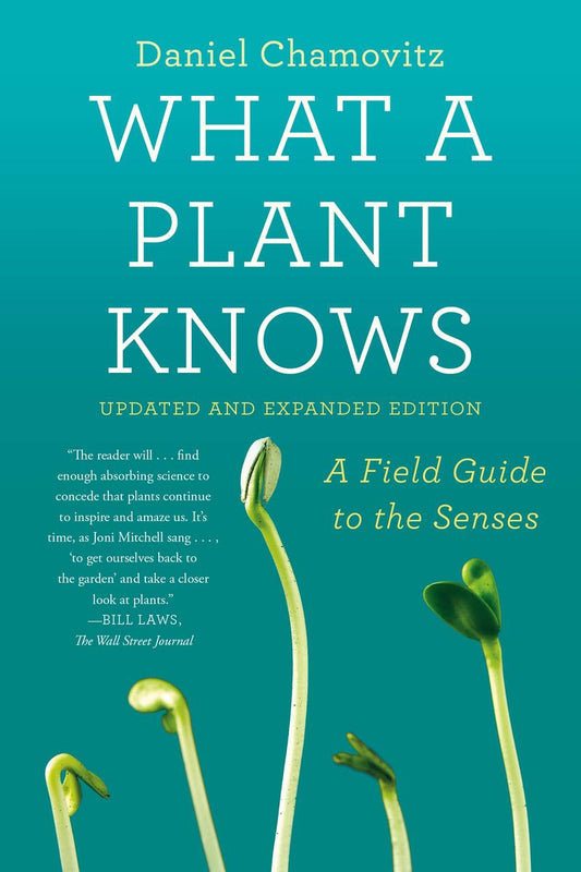 What a Plant Knows: A Field Guide to the Senses by Daniel Chamovitz