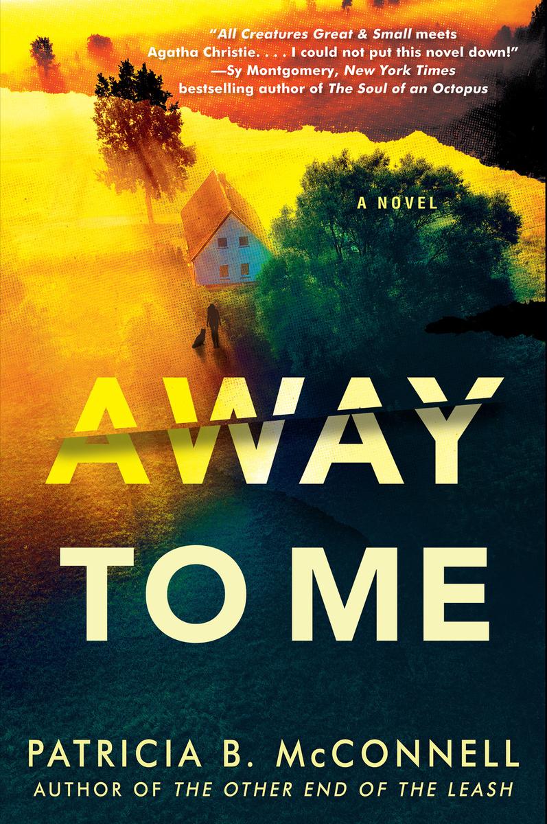 Away to Me by Patricia B McConnell
