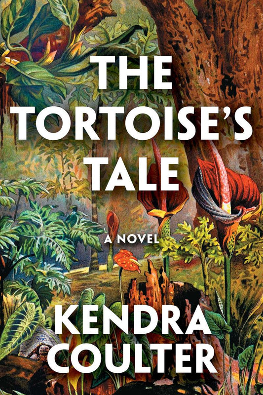 The Tortoise's Tale by Kendra Coulter