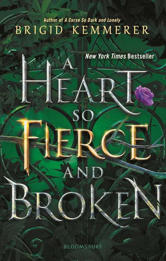 A Heart So Fierce and Broken by Brigid Kemmerer