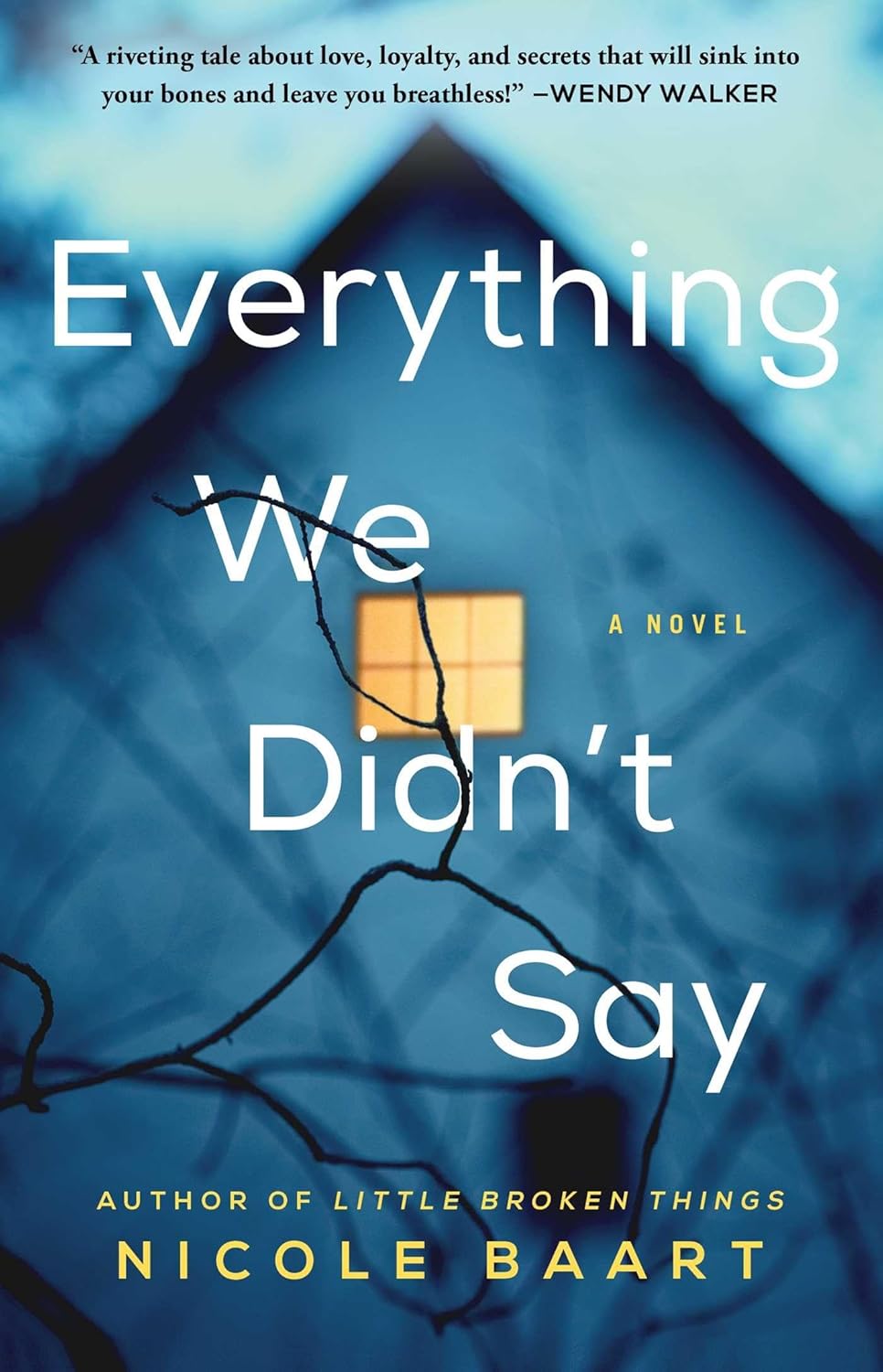 Everything We Didn't Say by Nicole Baart
