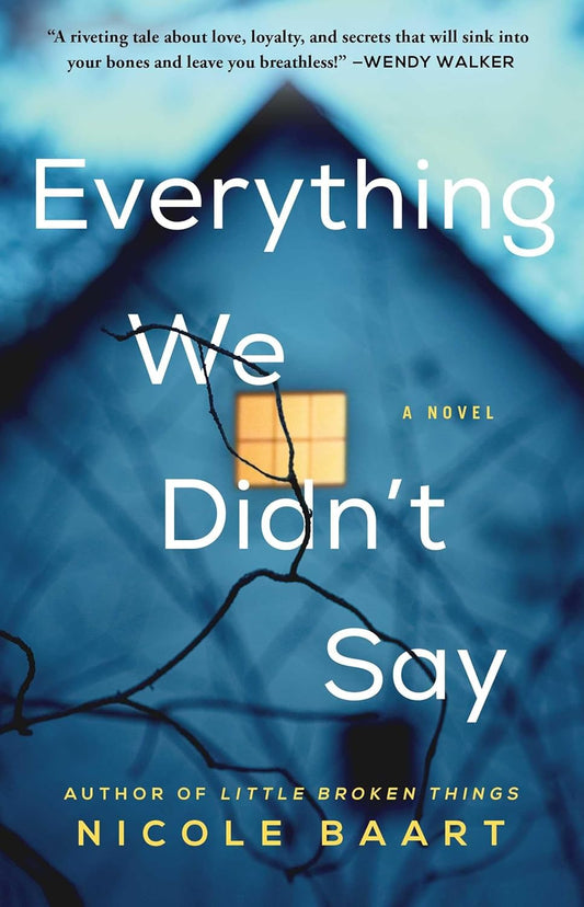 Everything We Didn't Say by Nicole Baart