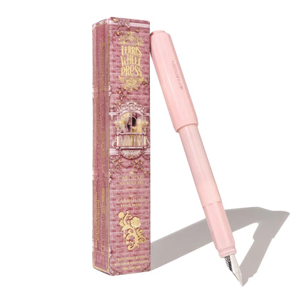 The Carousel fine nib fountain pen - Ferris Wheel Press