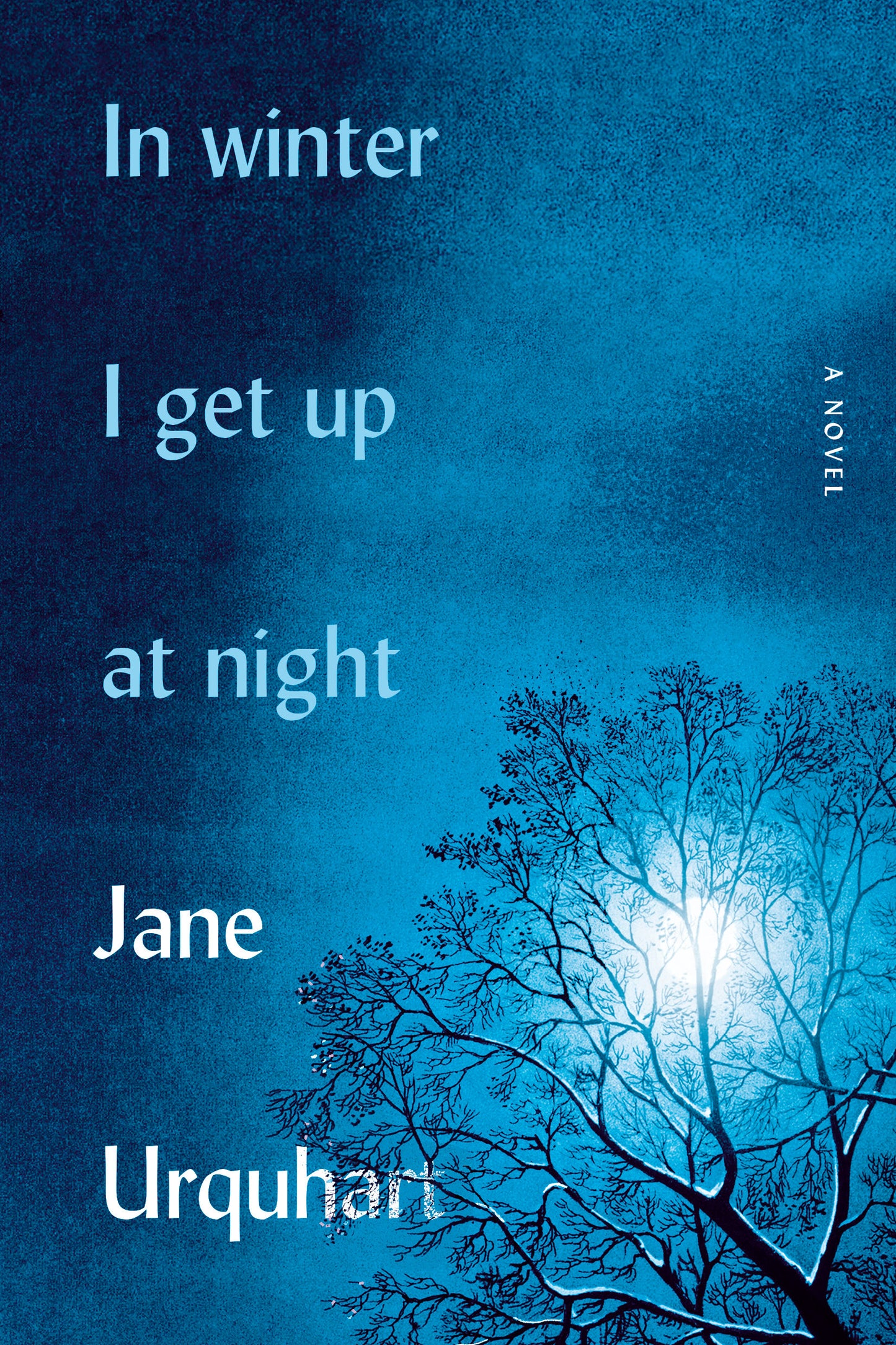 In Winter I Get Up At Night by Jane Urquhart